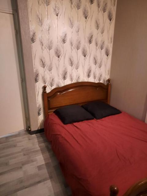 Location appartement T3 Vienne - Photo 4
