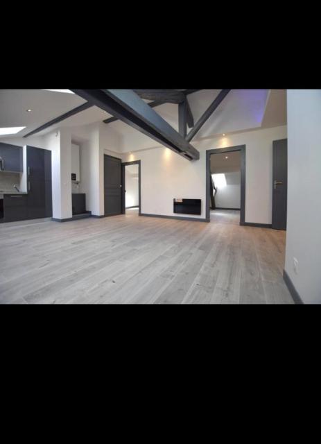 Location appartement T3 Nancy - Photo 2