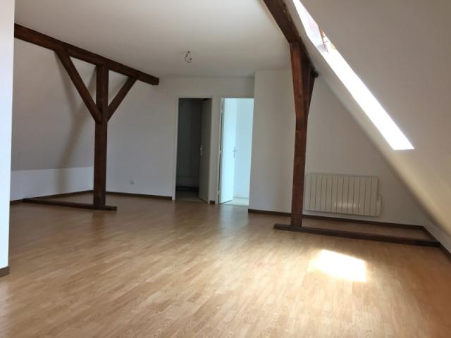 Location appartement T5 Strasbourg - Photo 2
