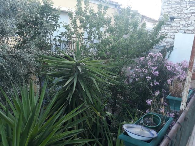 Location appartement T3 Nimes - Photo 2