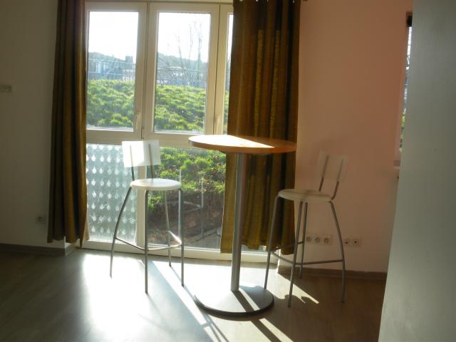 Location appartement T2 St Andre Lez Lille - Photo 2