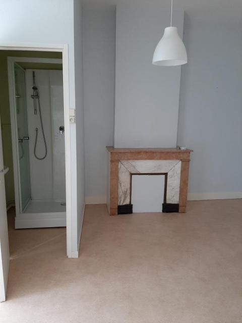 Location appartement T2 St Etienne - Photo 2