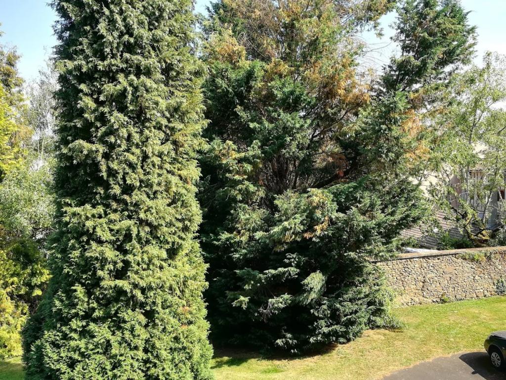 Location chambre Limoges - Photo 4
