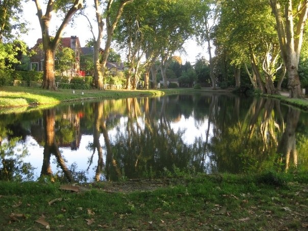 Location chambre Draveil - Photo 8