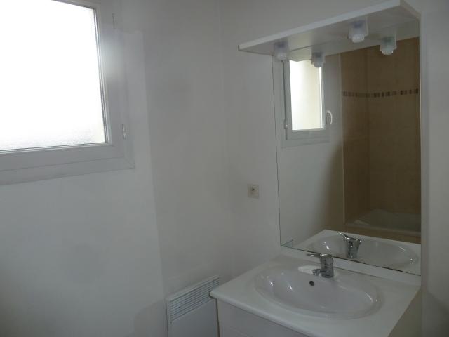 Location appartement T3 St Jean de la Ruelle - Photo 7