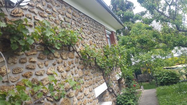 Location studio Ris Orangis - Photo 8