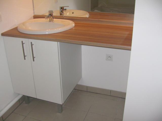 Location appartement T3 Toulouse - Photo 6