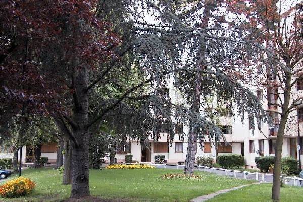 Location appartement T4 Eaubonne - Photo 1