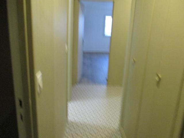 Location appartement T3 Fleury les Aubrais - Photo 5