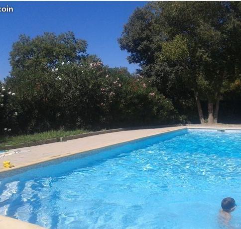 Location appartement T3 Montpellier - Photo 2