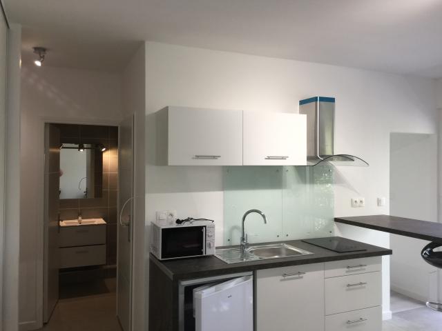 Location appartement T2 Toulouse - Photo 2