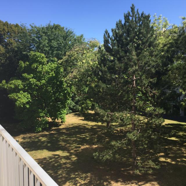 Location appartement T3 Viroflay - Photo 9