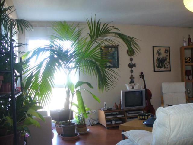 Location chambre Toulouse - Photo 2