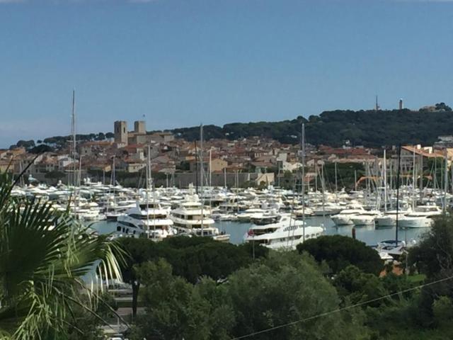 Location studio Antibes - Photo 2
