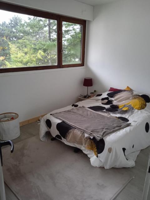 Location appartement T3 Sallanches - Photo 2