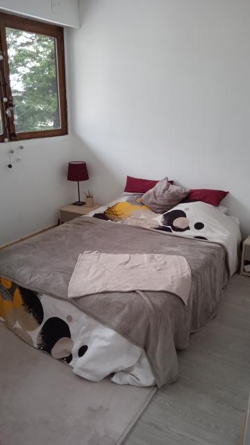 Location appartement T3 Sallanches - Photo 3