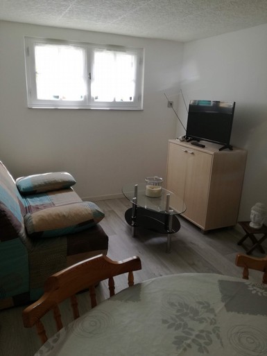 Location appartement T2 Les Sorinieres - Photo 2
