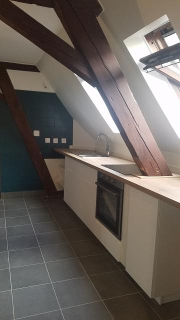 Location appartement T3 Strasbourg - Photo 1