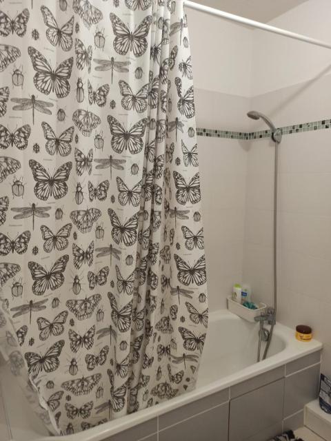 Location appartement T2 Toulouse - Photo 8