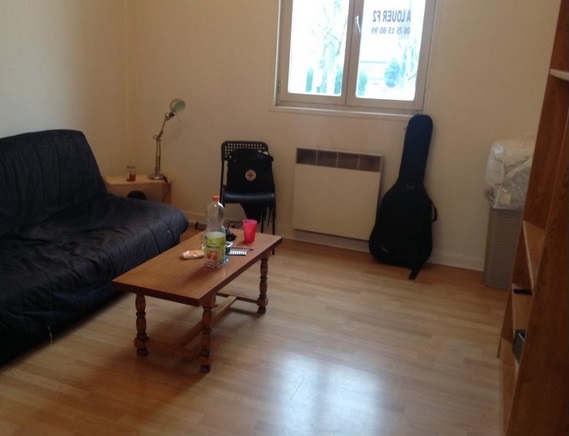 Location appartement T2 St Martin d'Heres - Photo 3