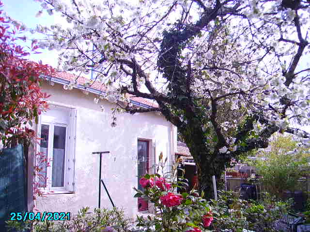 Location chambre Nantes - Photo 7
