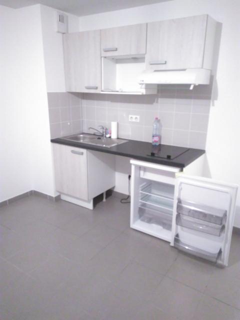 Location appartement T4 Cornebarrieu - Photo 5