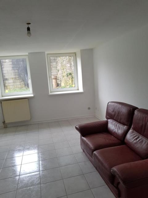 Location appartement T2 Sarrebourg - Photo 3