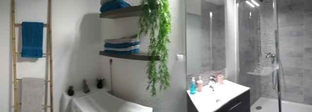 Location appartement T2 Mulhouse - Photo 6