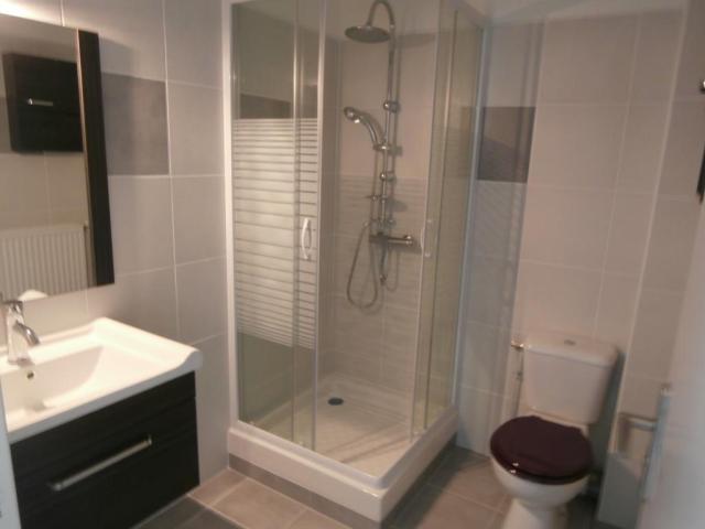 Location appartement T1 St Etienne - Photo 3