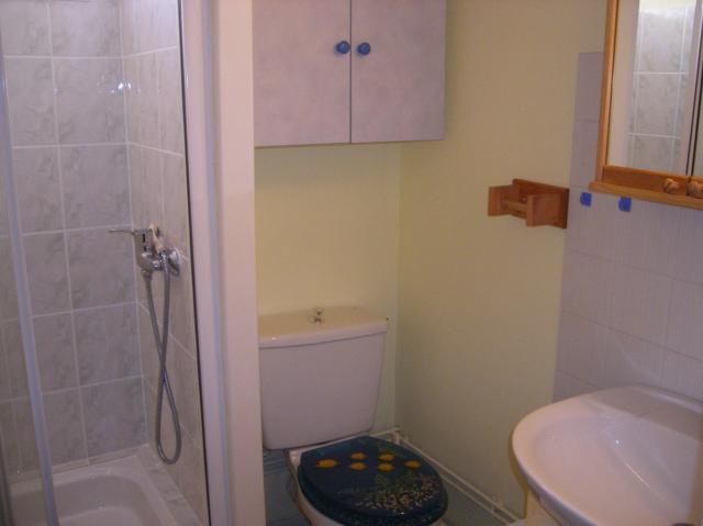 Location appartement T2 Toulouse - Photo 3