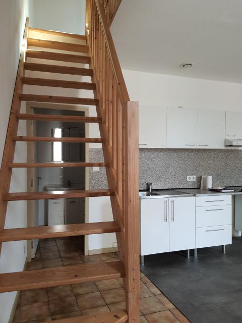 Location appartement T1 Pinsaguel - Photo 2