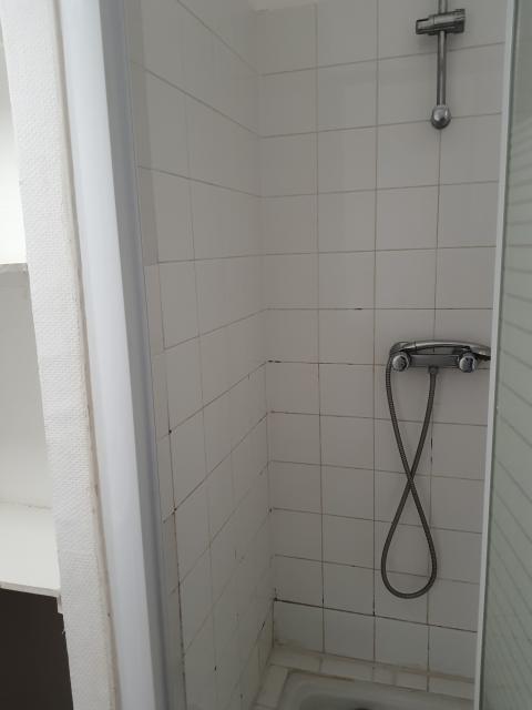Location appartement T1 Pinsaguel - Photo 6