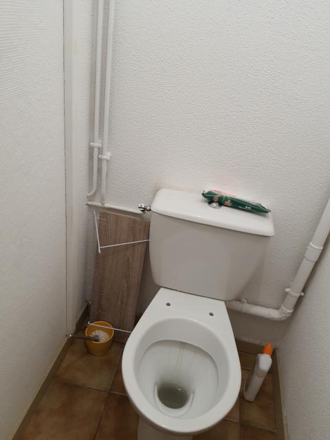 Location appartement T1 Pinsaguel - Photo 10