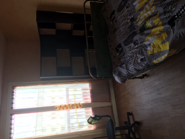 Location appartement T3 Rennes - Photo 2