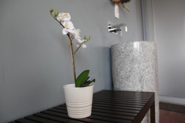 Location studio Bordeaux - Photo 2