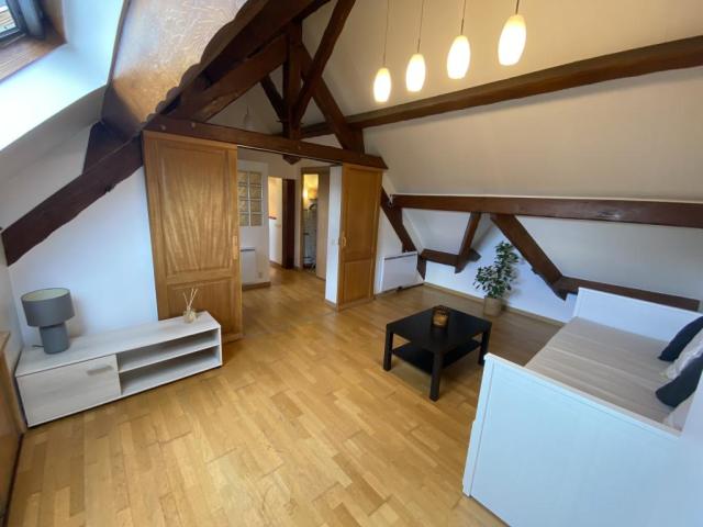 Location appartement T2 Champigny sur Marne - Photo 3