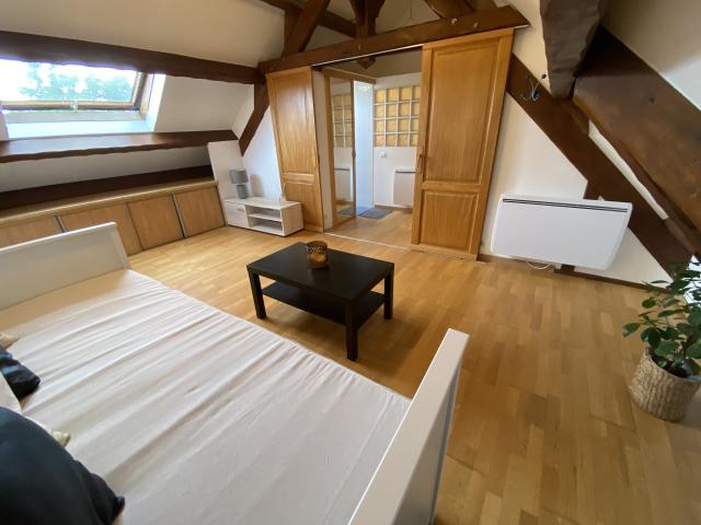 Location appartement T2 Champigny sur Marne - Photo 4