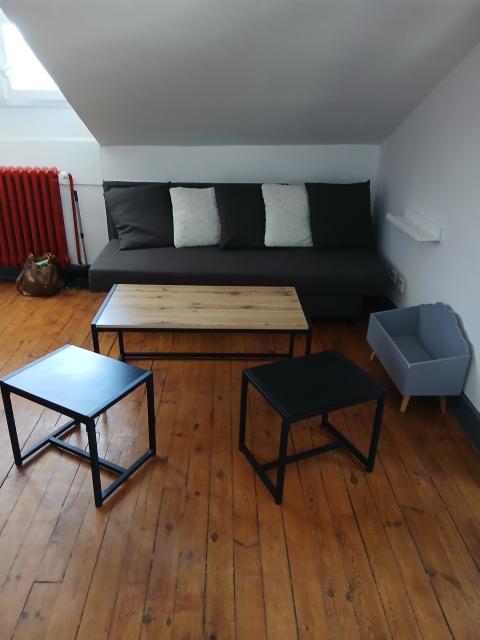 Location appartement T2 St Etienne - Photo 8