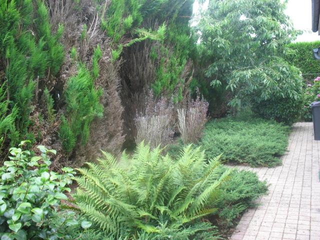 Location chambre Laval - Photo 4