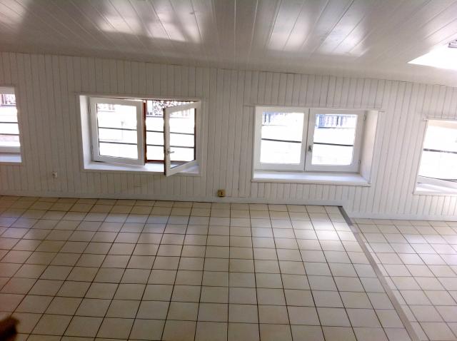 Location Studio avec cuisine équipée à St Etienne - 340 ...