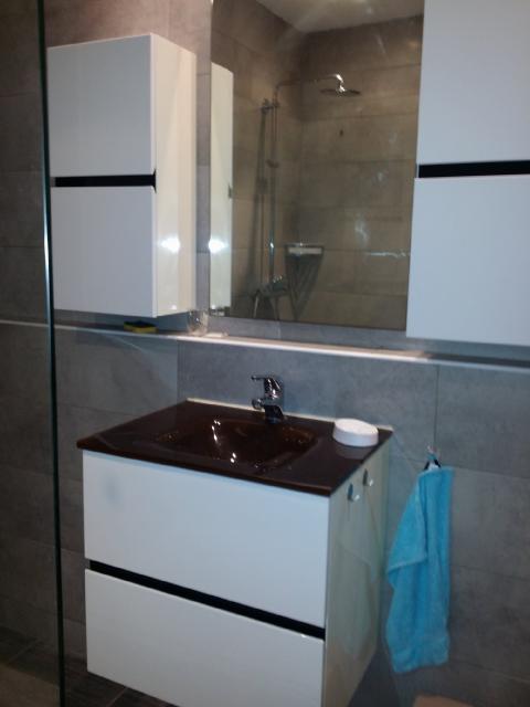 Location appartement T1 Toulouse - Photo 4