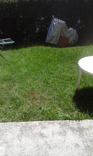 Location studio Digne les Bains - Photo 3