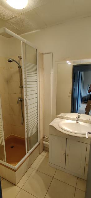 Location appartement T2 Sarreguemines - Photo 3