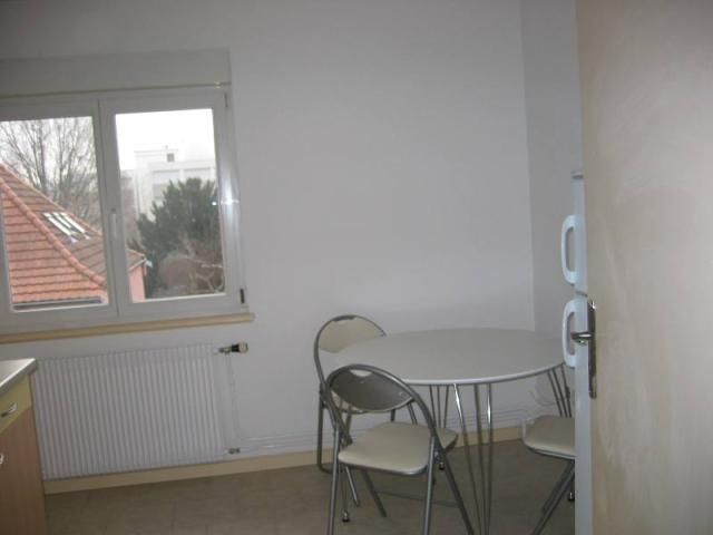 Location appartement T2 Colmar - Photo 2