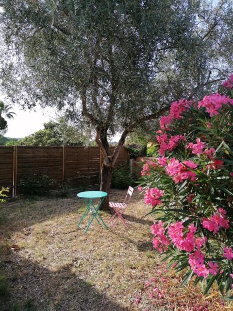 Location studio Roquebrune sur Argens - Photo 3