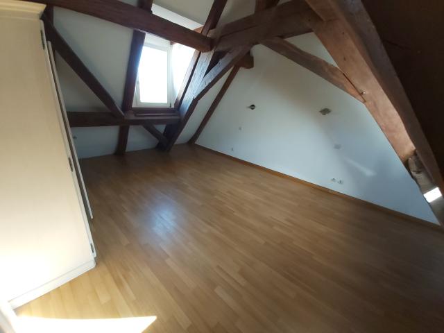 Location appartement T4 Altkirch - Photo 2
