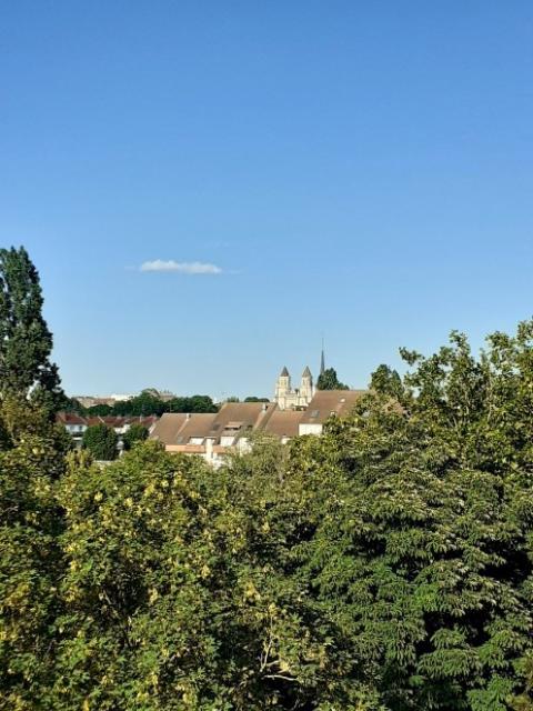 Location appartement T4 Dijon - Photo 10