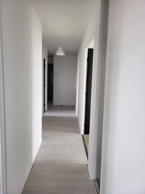 Location appartement T4 Colomiers - Photo 9