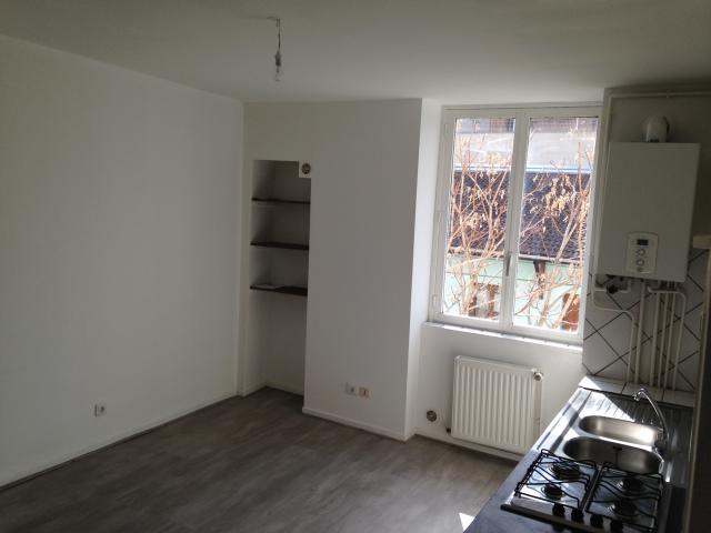 Location appartement T2 St Etienne - Photo 2