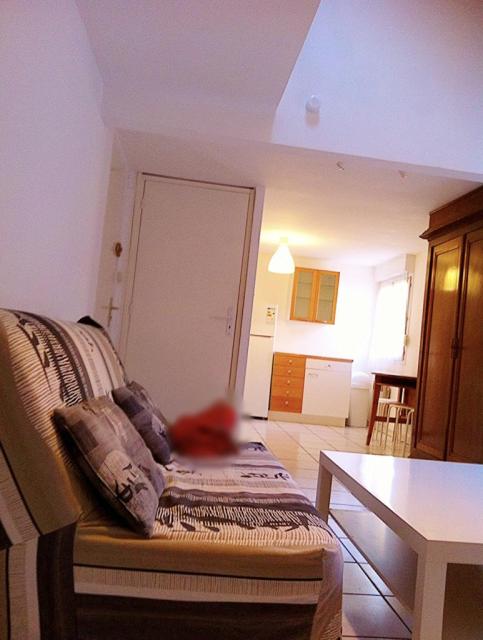 Location appartement T2 Villeurbanne - Photo 6